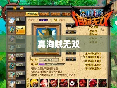 真海贼无双，荣耀与冒险的海洋征途