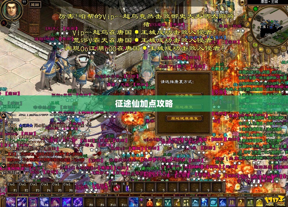 征途仙加点攻略，探索最佳属性分配策略