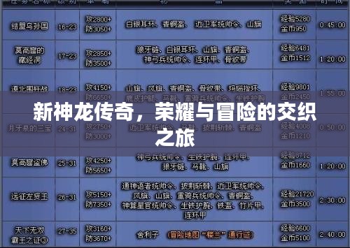 新神龙传奇，荣耀与冒险的交织之旅