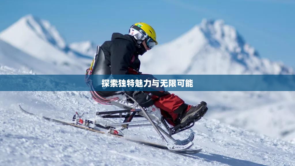 我叫MT特别版，探索独特魅力与无限可能