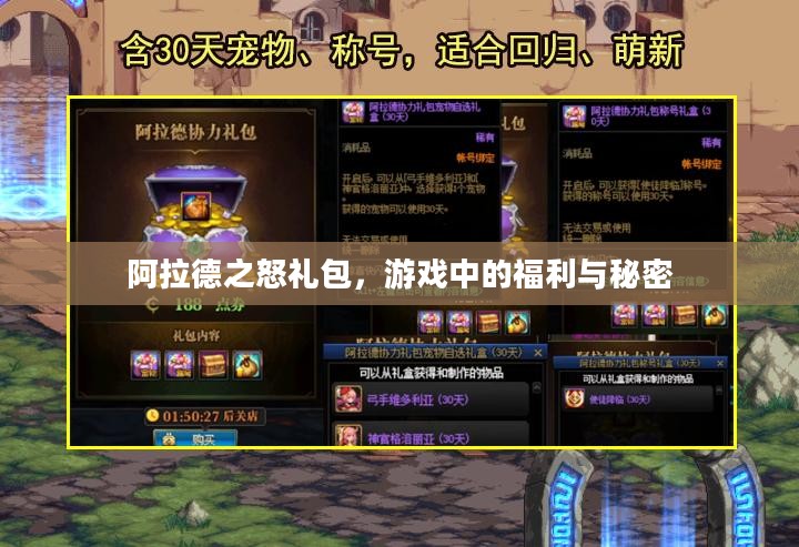 阿拉德之怒礼包，游戏中的福利与秘密