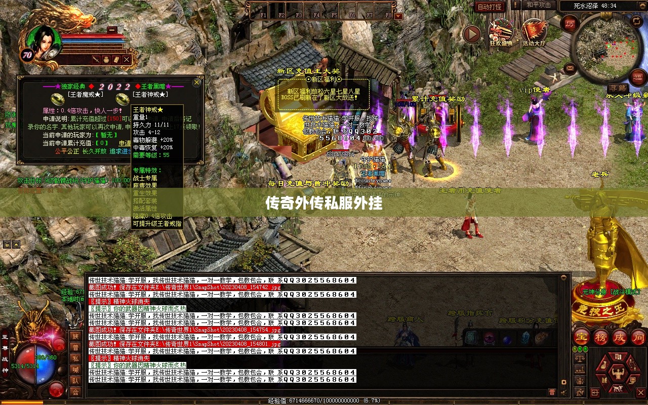 传奇外传私服外挂，游戏世界的探索与挑战