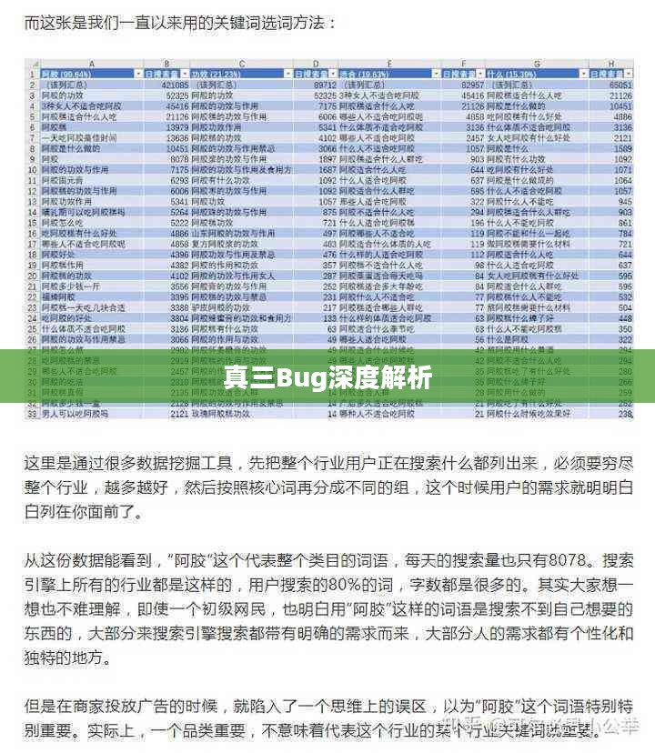 真三Bug，深度解析与应对策略