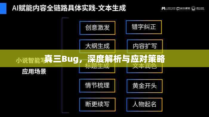真三Bug，深度解析与应对策略