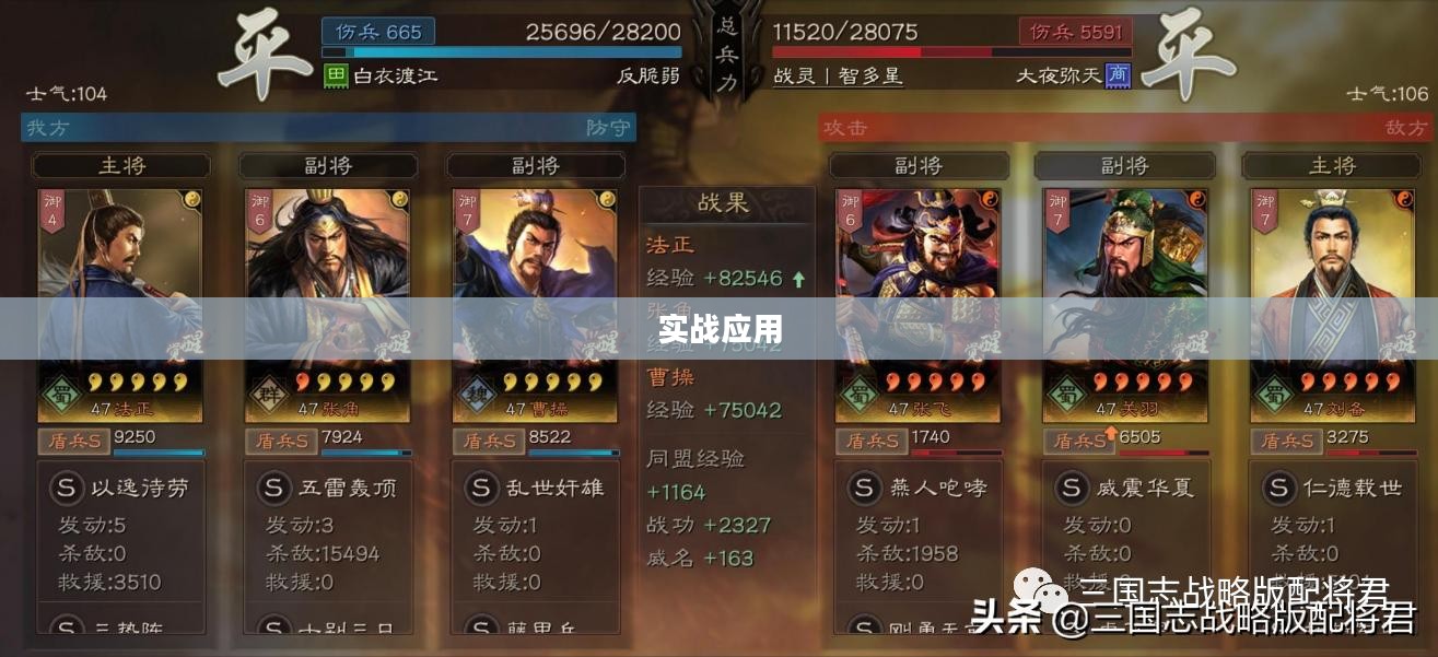 法正技能，深度解析与实战应用