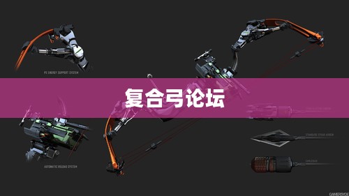 复合弓论坛，探索弓箭艺术的交流平台
