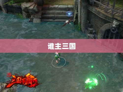 谁主三国 谁主三国