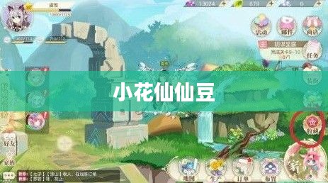 小花仙仙豆，奇妙之旅与神秘力量