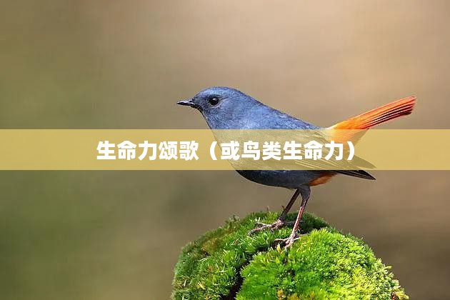 鸟翔碧空——自然之美与生命力的颂歌
