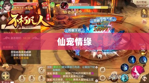 仙宠情缘，人与仙宠的奇妙缘分