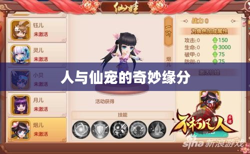 仙宠情缘，人与仙宠的奇妙缘分
