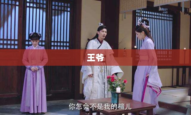 王爷不好当 王爷不好当
