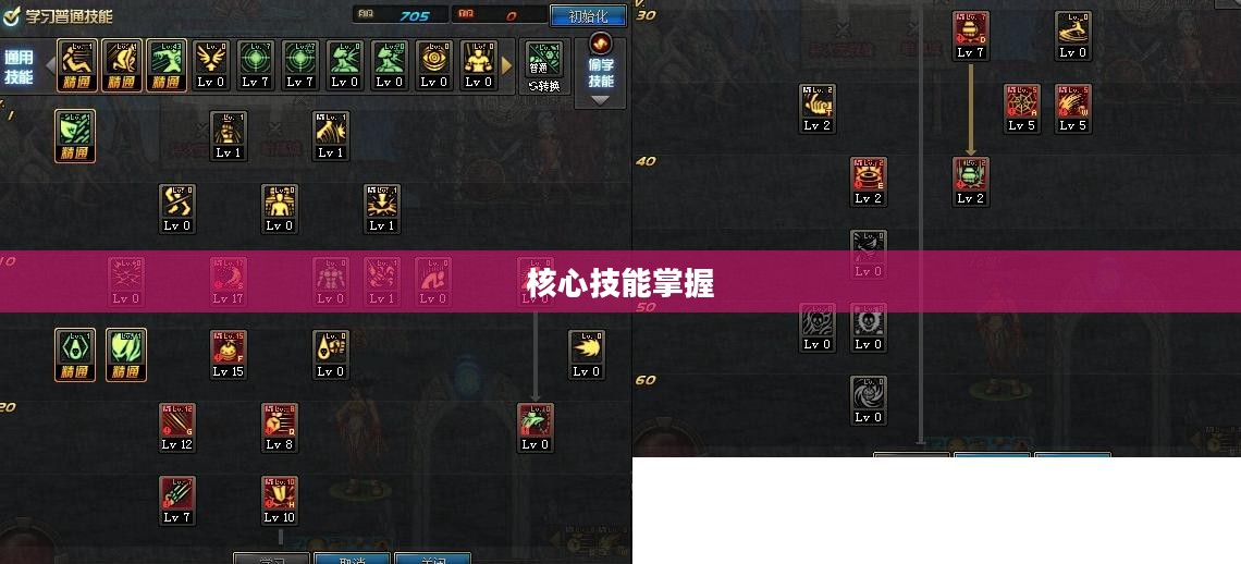 毒王刷图加点攻略，掌握核心技能，轻松登顶游戏巅峰