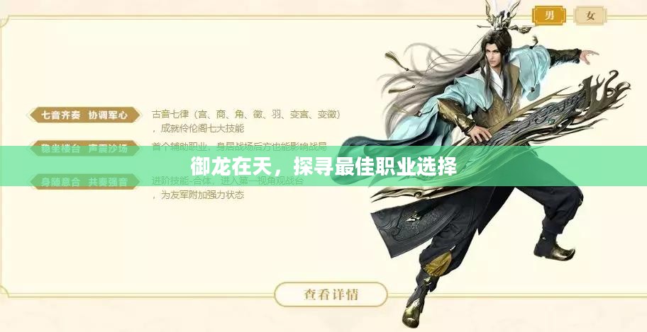 御龙在天,探寻最佳职业选择 御龙在天,探寻最佳职业选择