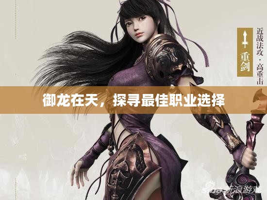 御龙在天，探寻最佳职业选择