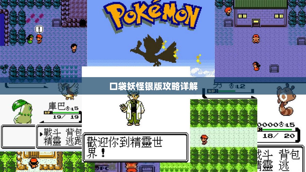 口袋妖怪银版攻略详解