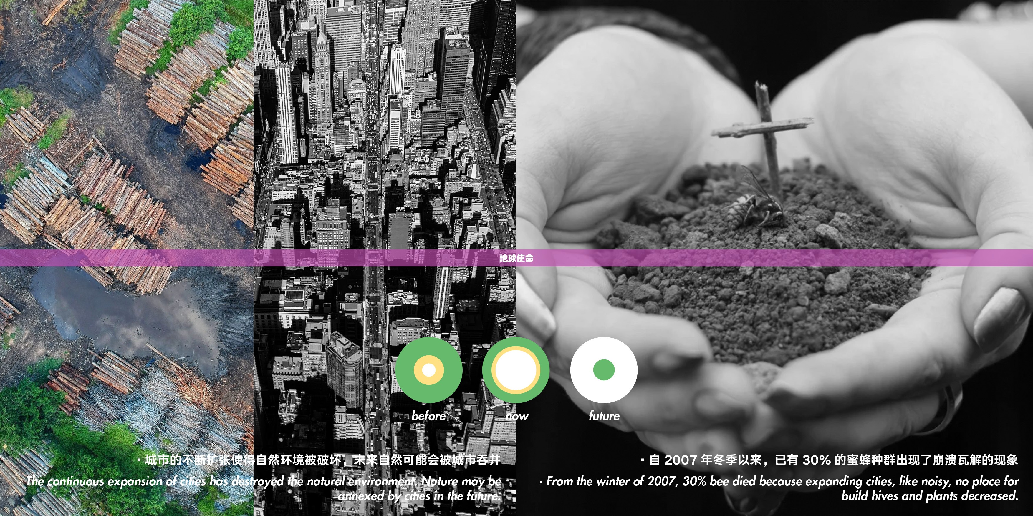 地球使命，守护生命与共筑可持续未来