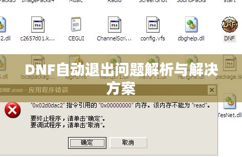 DNF自动退出问题解析与解决方案
