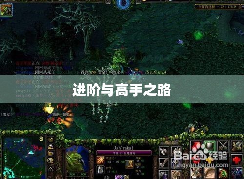魔兽Dota秘籍，入门、进阶与高手之路