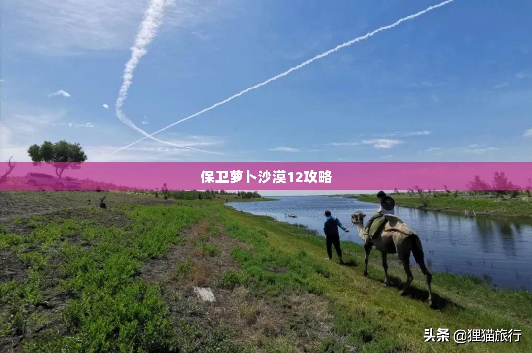 保卫萝卜沙漠12攻略详解，轻松战胜敌人，保卫你的萝卜家园