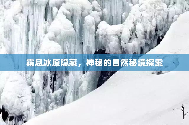 霜息冰原隐藏，神秘的自然秘境探索