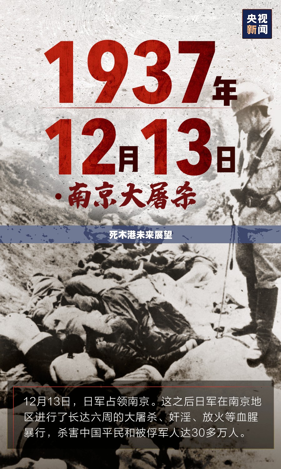 死木港，历史、现状与未来展望