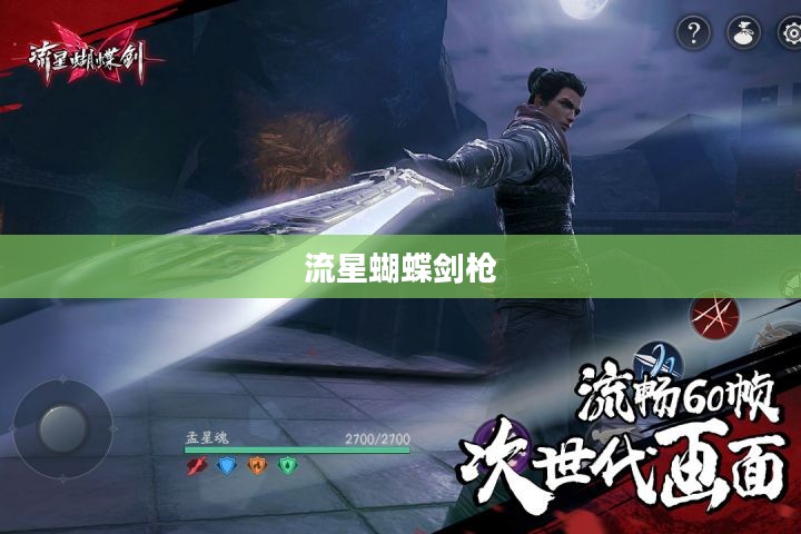 流星蝴蝶剑枪，传承与演绎武侠之魂