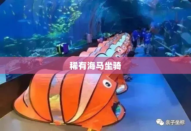 稀有海马坐骑，神秘海洋的梦幻之旅