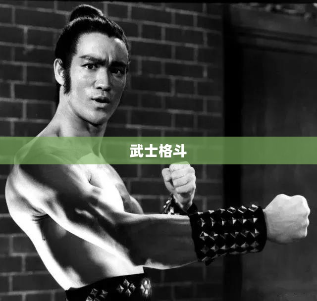 武士格斗，荣誉之战与精神的传承