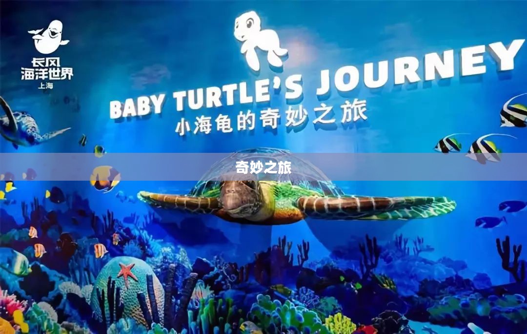 精彩游,探索世界的奇妙之旅 精彩游,探索世界的奇妙之旅