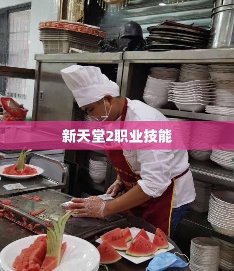 新天堂2职业技能深度解析