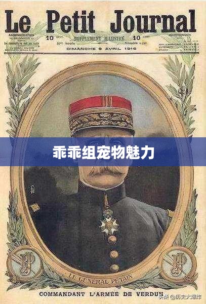 洛克王国乖乖组宠物，探索宠物世界的魅力之旅
