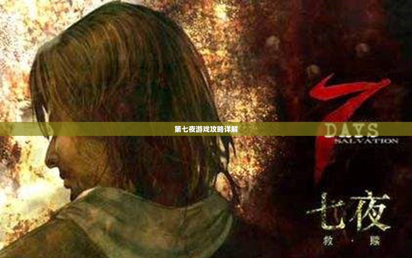 第七夜游戏攻略详解