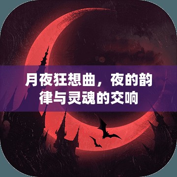 月夜狂想曲，夜的韵律与灵魂的交响