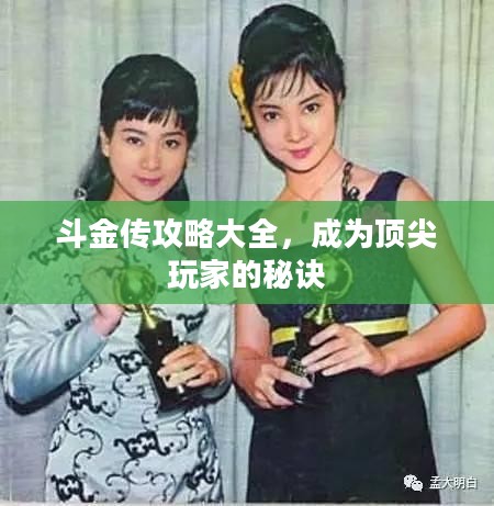 斗金传攻略大全，成为顶尖玩家的秘诀