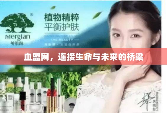 血盟网，连接生命与未来的桥梁