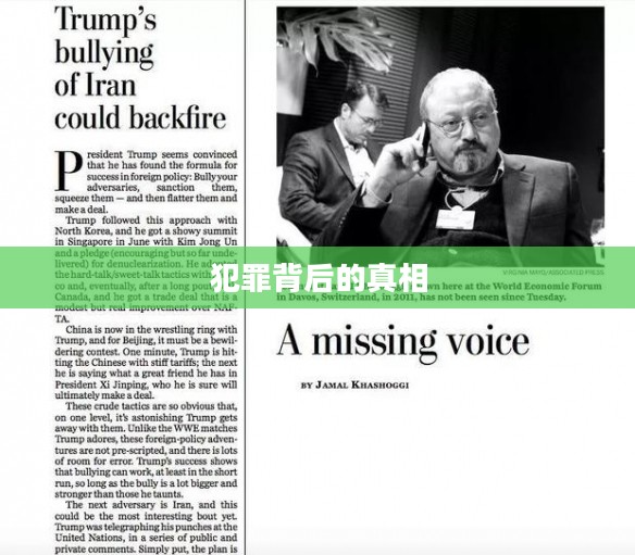 纵火犯本汀克的消失与追寻，犯罪背后的真相何在？