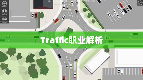 交通领域的枢纽——Traffic职业解析