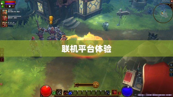 火炬之光2联机平台体验