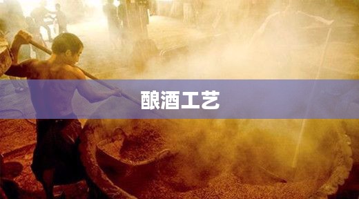 酒桶攻略，探索酿酒工艺的奥秘与魅力