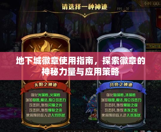 地下城徽章使用指南，探索徽章的神秘力量与应用策略