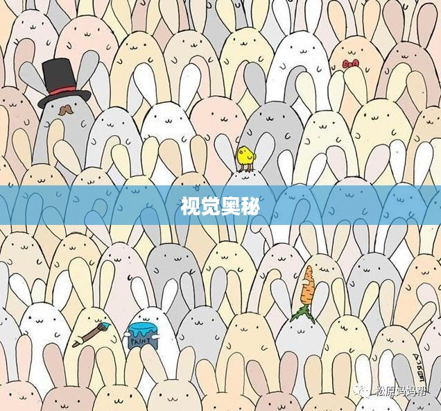 考考你的眼力，探索视觉的奥秘与挑战