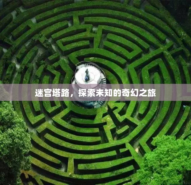 迷宫塔路，探索未知的奇幻之旅
