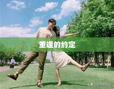 重逢的约定，第100天的誓言