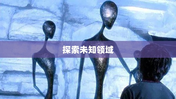 探索未知的领域，详尽的51区攻略