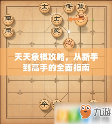 天天象棋攻略，从新手到高手的全面指南