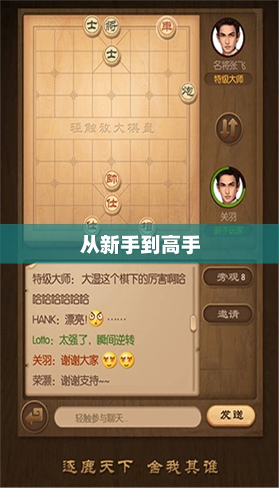 天天象棋攻略，从新手到高手的全面指南