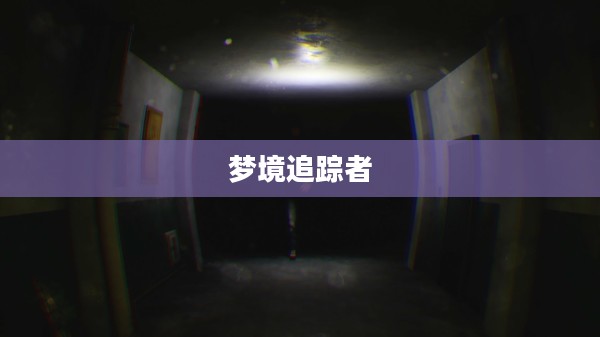梦境追踪者，探索梦境的奥秘与无限可能