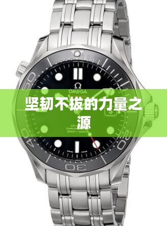 钢铁队伍，坚韧不拔的力量之源