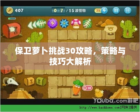 保卫萝卜挑战30攻略，策略与技巧大解析